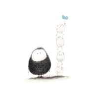 Forget-me-not