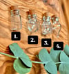   BUILD YOUR OWN  //  Spell Jar Earrings  