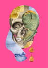 past(e) tense Print - Antipode
