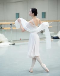 Image 12 of Reversible Chiffon Double layer rehearsal skirt ( Full circle skirt 360 degree)
