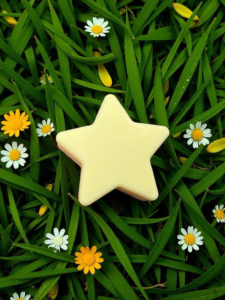 Image of Star Bar Soap