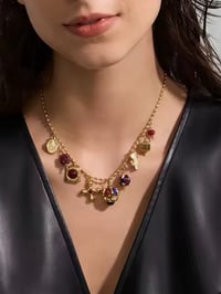 Image 2 of POSH Luxe Charm Necklace