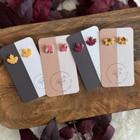 Image 1 of fall studs