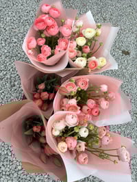 Image 5 of Ranunculus Corm - Specialty Cut Flower Varieties 