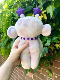 Image 3 of Sasha the Star Sprite