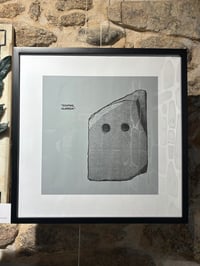Image 1 of Lámina Rosetta (Artwork)