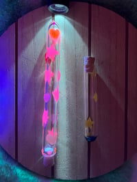 Image 2 of ⭐️ Spell Jars ⭐️ (or Whisker Banks!)