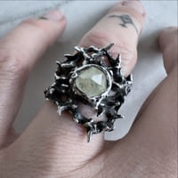 Image 4 of Ring of Thorns