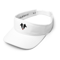 Image 2 of Embroidered Pickledog Visor