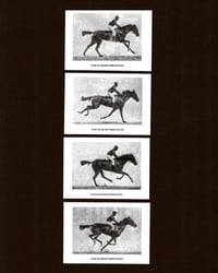 Image 4 of Year of the Horse Print