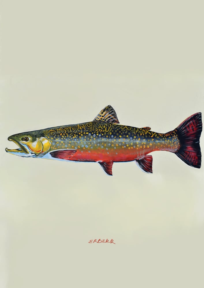 Image of That’s A Brooke trout