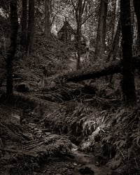 Custom or lavender fairie