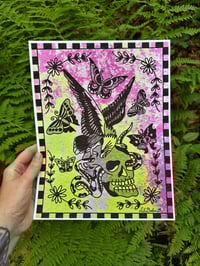 Eagle Skull Print