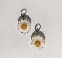 Image 1 of Daisy Circles 