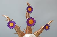 Image 4 of Crown of Thorns