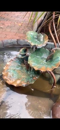 Image 3 of 🌿Lovely Leaves 🌿