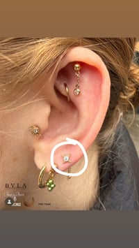 Image 2 of BVLA recently added 