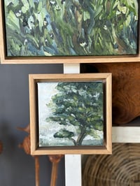 Image 1 of Prince by Monique Correy