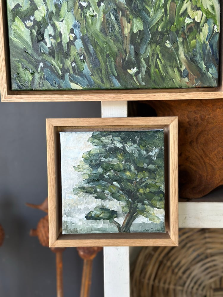 Image of Prince by Monique Correy