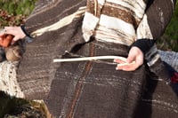 Image 4 of Hedgerow Spindle 