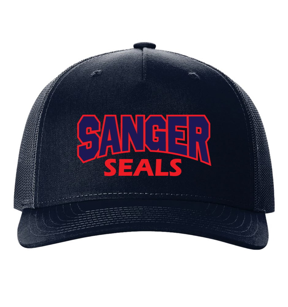 Image of Navy Cap