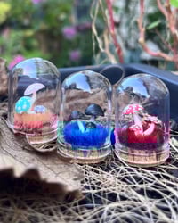 Image 3 of Small Domes