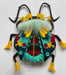 Image of Bright-booted Bus Beetle