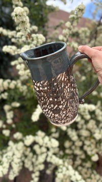 Image 3 of Pitcher 02