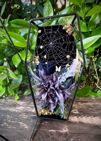 Image 1 of Undead Terrarium: The Silent Shriek 