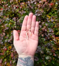 Image 3 of Gopher Earrings