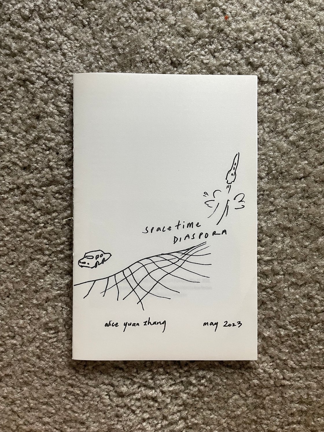 Image of Spacetime Diaspora