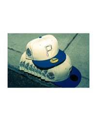 Image 5 of “Seton Hall” Pirates 🏴‍☠️