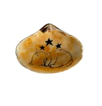 Image 1 of Kitty sleeping under the stars 