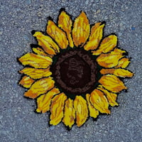 Image 2 of Sunflower 
