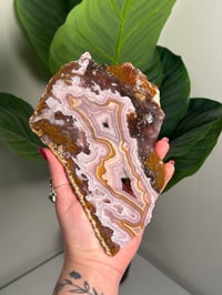 Image 1 of AGUA NUEVA AGATE SLAB B