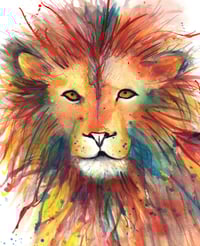 Image 1 of Splashy Mr Lion