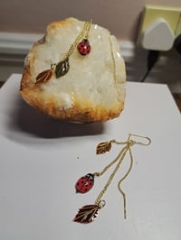 Image 5 of Ladybug 🐞 