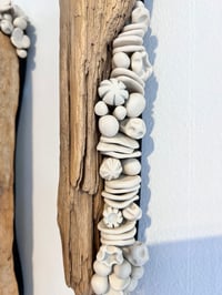 Image 2 of Renewed lll- Cara O'Brien
