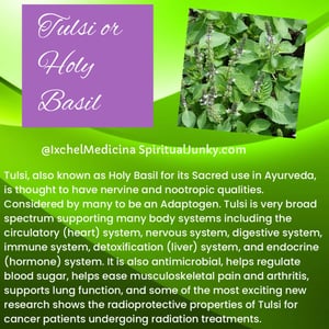 Image of Nervine Healing Set