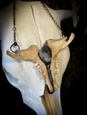 Embellished Goat - Jawbone Necklace