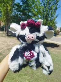 Image 1 of Bella the RoseMoo