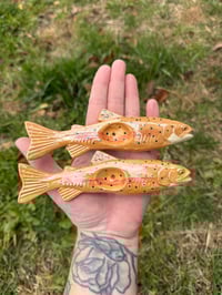 Image 11 of Trout -SECONDS