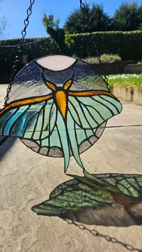 Image 1 of Luna moth night