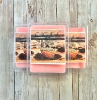 Image 5 of Sol de Janeiro Inspired Clamshell Wax Melts