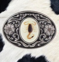 Image 3 of Scorpion Belt Buckle