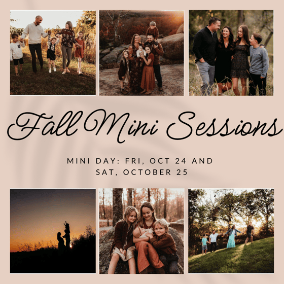 Image of Fall minis 2025