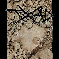 Truth Of All Death - “S/T” 7” (Import)