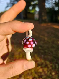 Image 3 of Amanita Muscaria #2