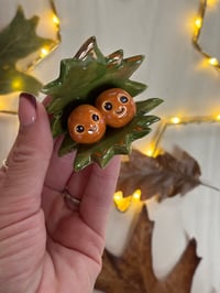 Double cute conker buddies 