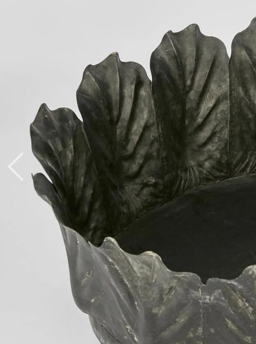 Image of Kale Pot  Zinc